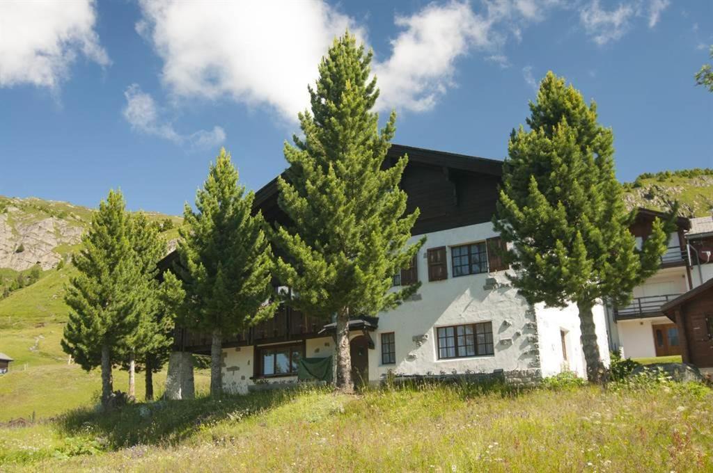 Photo of Others in Riederalp