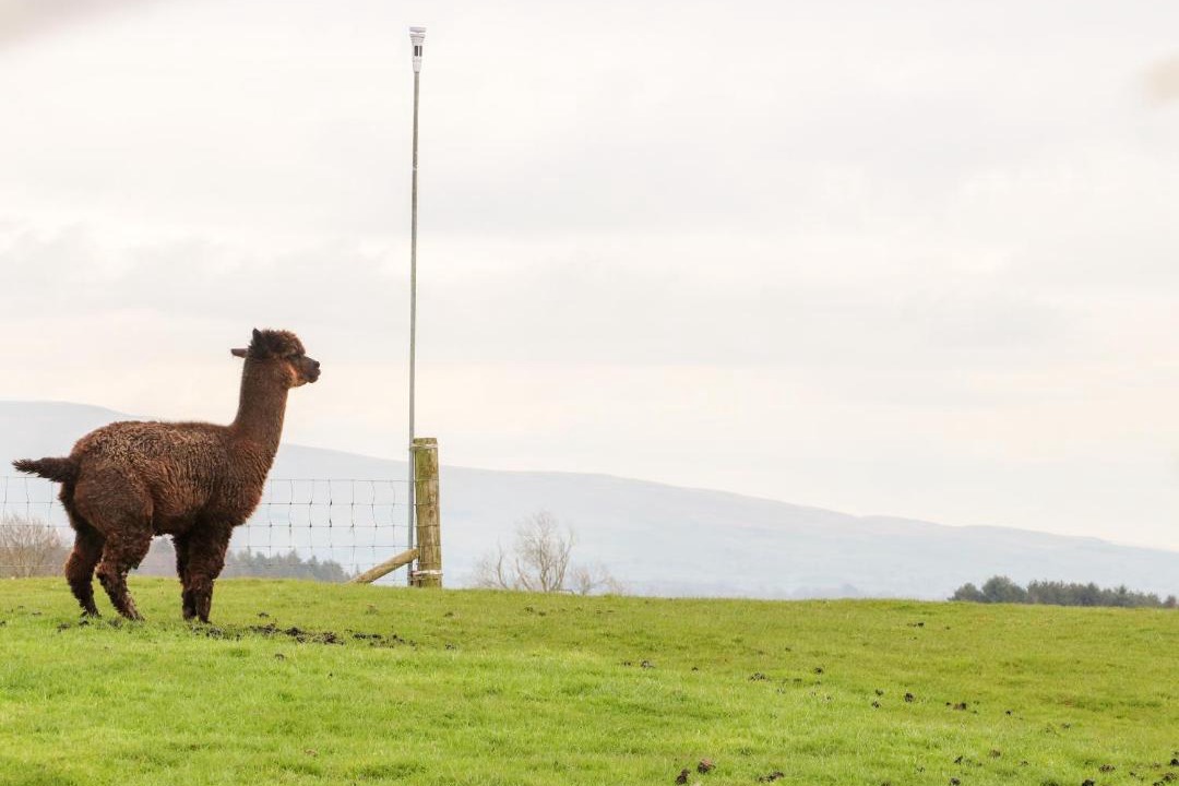 Photo of Human In Picture in Carnforth