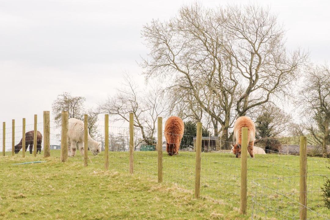 Photo of Buildings in Carnforth