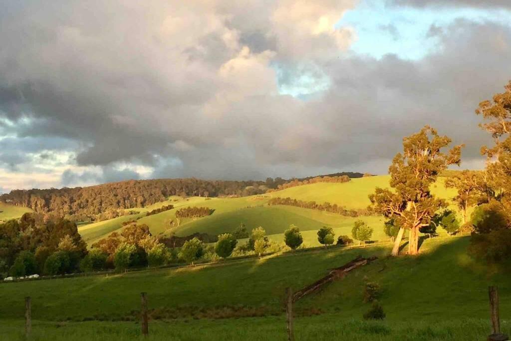 Photo of Others in Berrys Creek