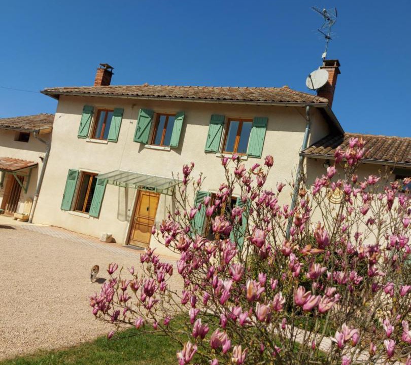 Photo of Buildings in Chaneins