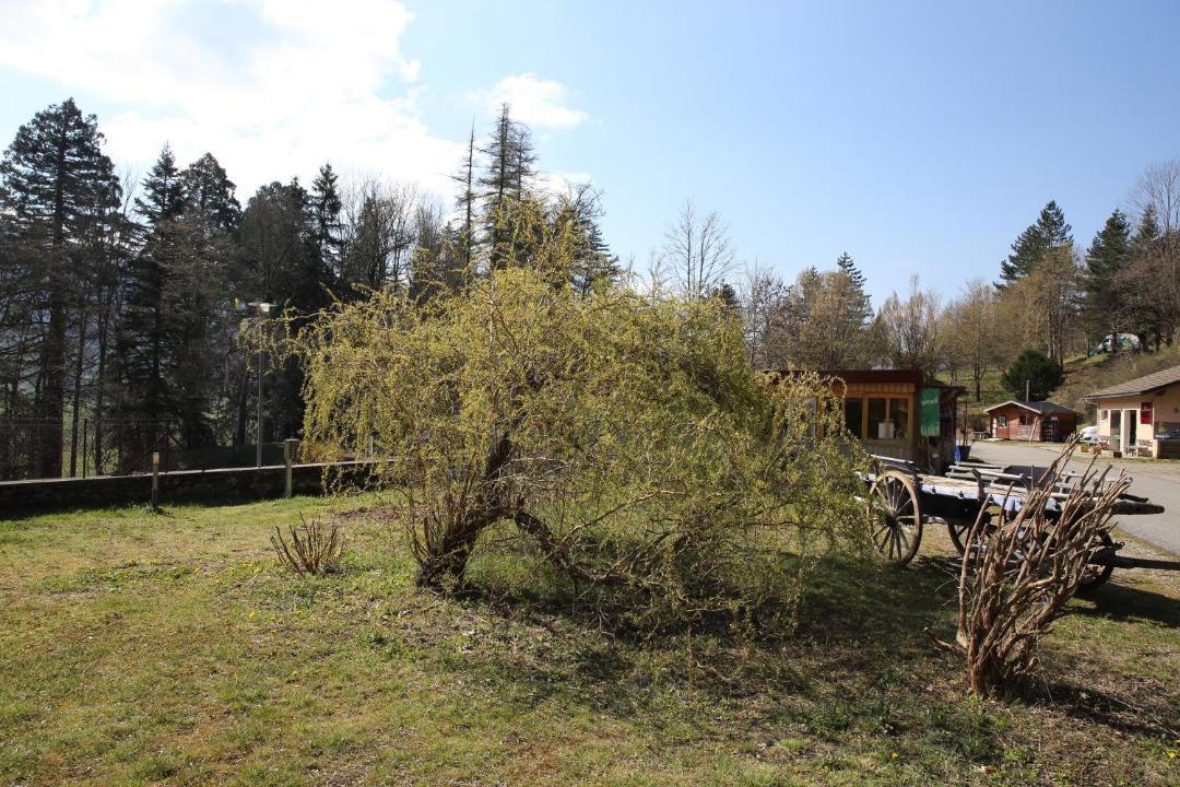 Photo of Others in Saint-Martin-en-Vercors