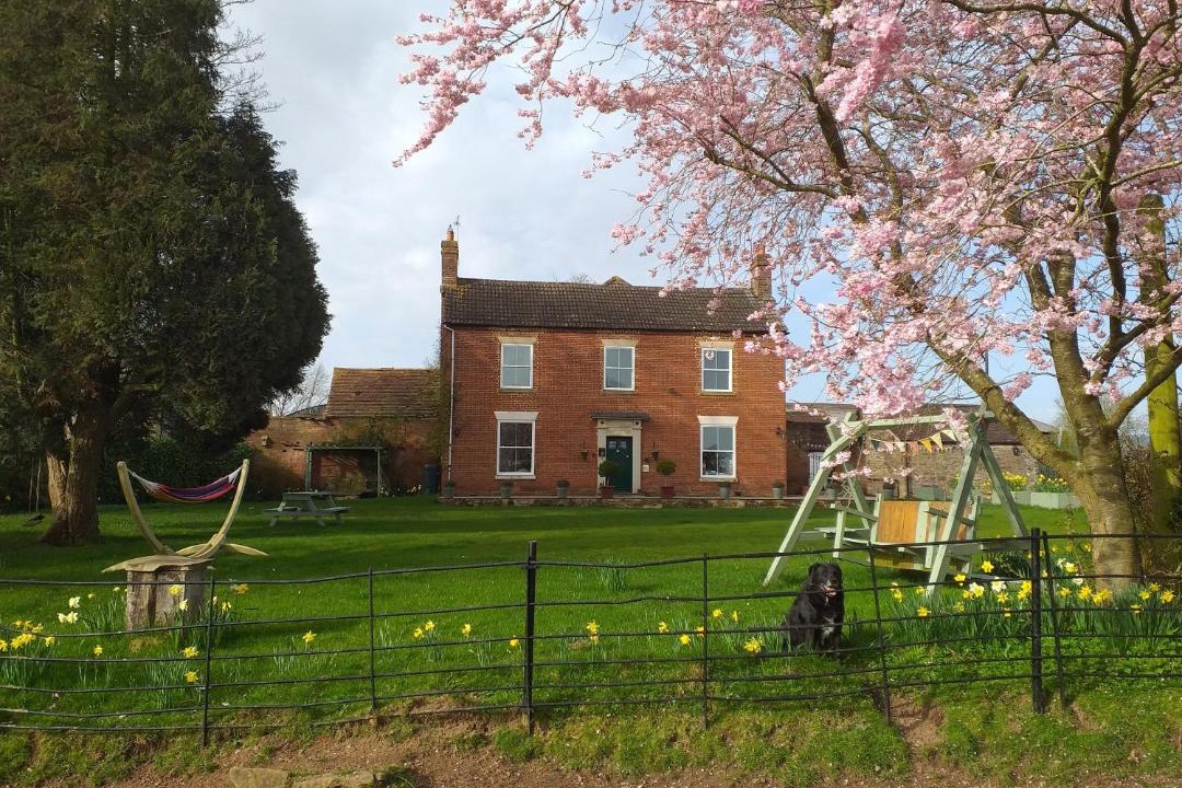 Photo of Others in Clows Top