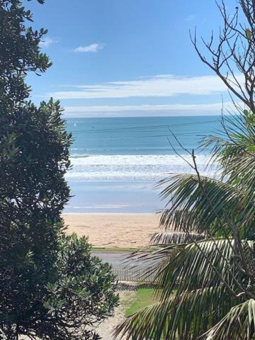 Photo of Others in Oneroa