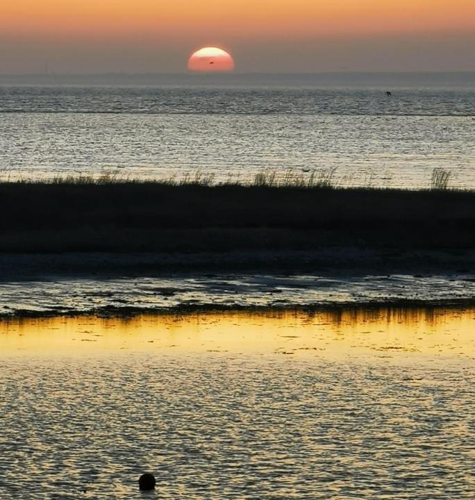 Photo of Others in Bogense