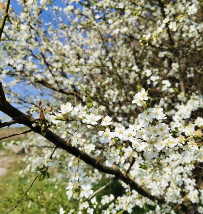 Photo of Others in Bogense