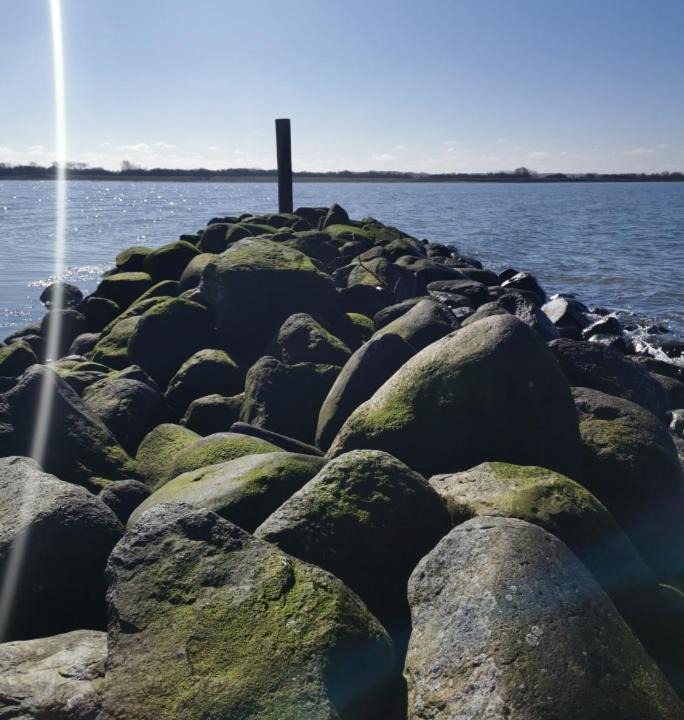 Photo of Others in Bogense