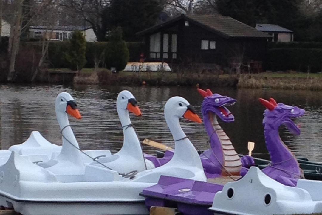 Photo of Others in Berwick-upon-Tweed