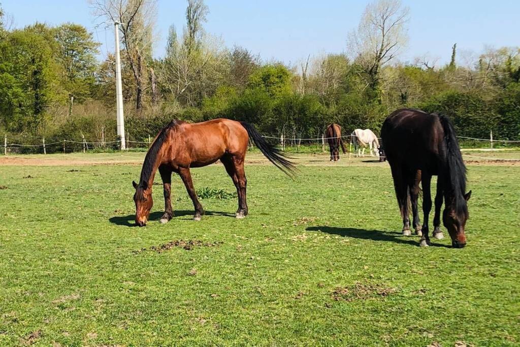 Photo of Others in Cissac-Medoc