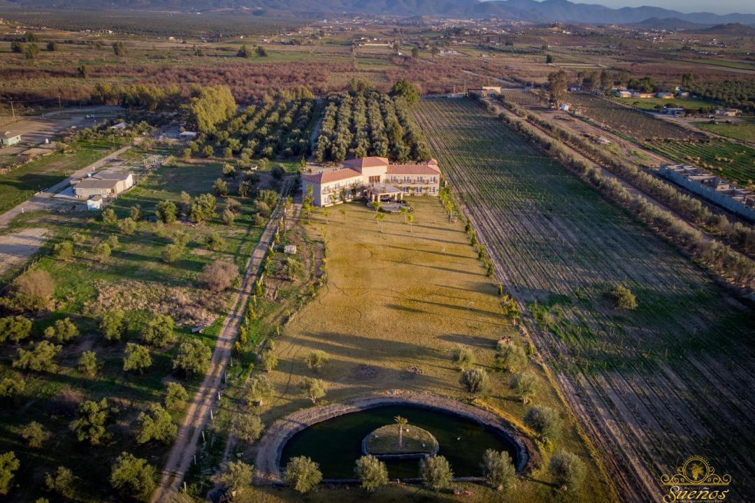 Photo of Others in Valle de Guadalupe