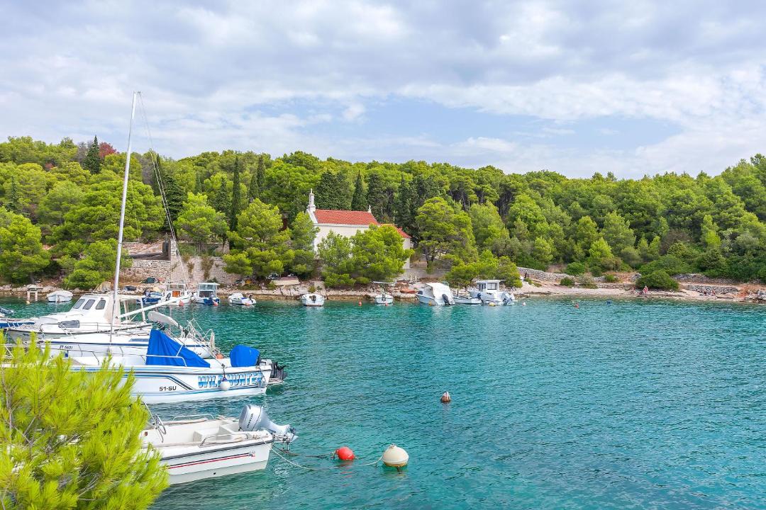 Photo of Others in Cove Osibova (Milna)
