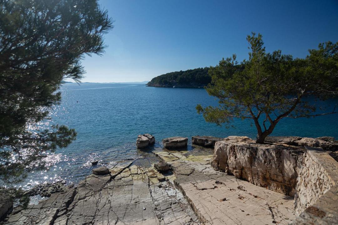 Photo of Others in Cove Osibova (Milna)