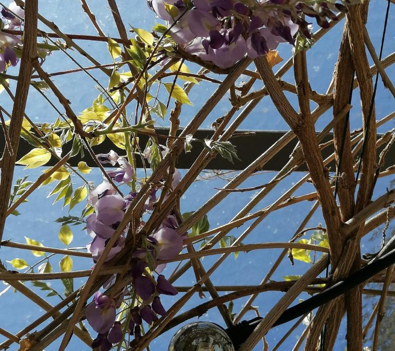 Photo of Others in Savigny-les-Beaune