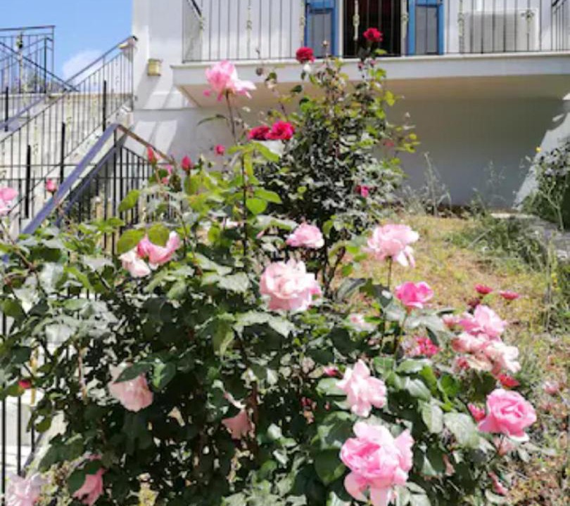 Photo of Others in Aetos