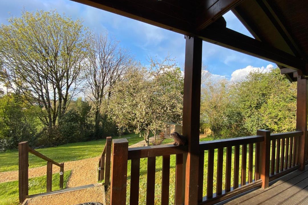 Photo of Others in Leigh upon Mendip