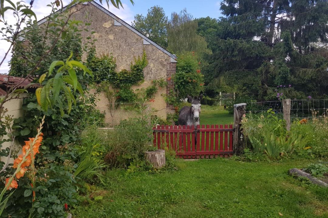 Photo of Others in Savigny-sur-Braye