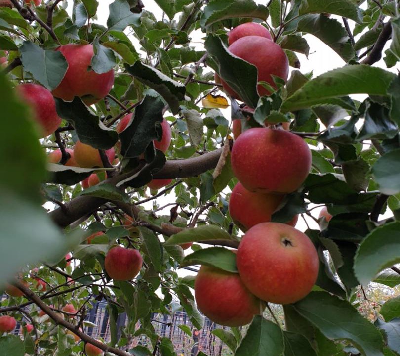 Photo of Others in Kushchevskaya