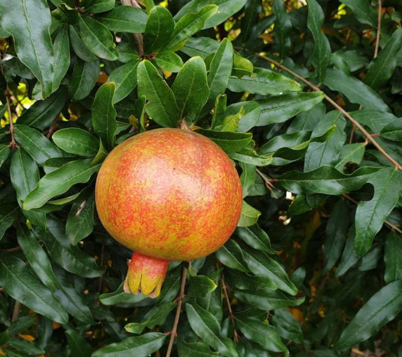 Photo of Others in Kushchevskaya