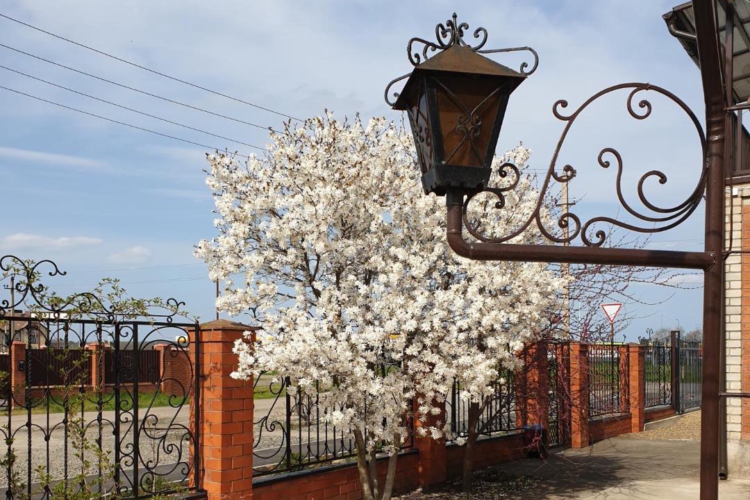 Photo of Buildings in Kushchevskaya