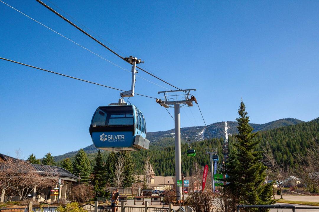 Photo of Others in Kingston