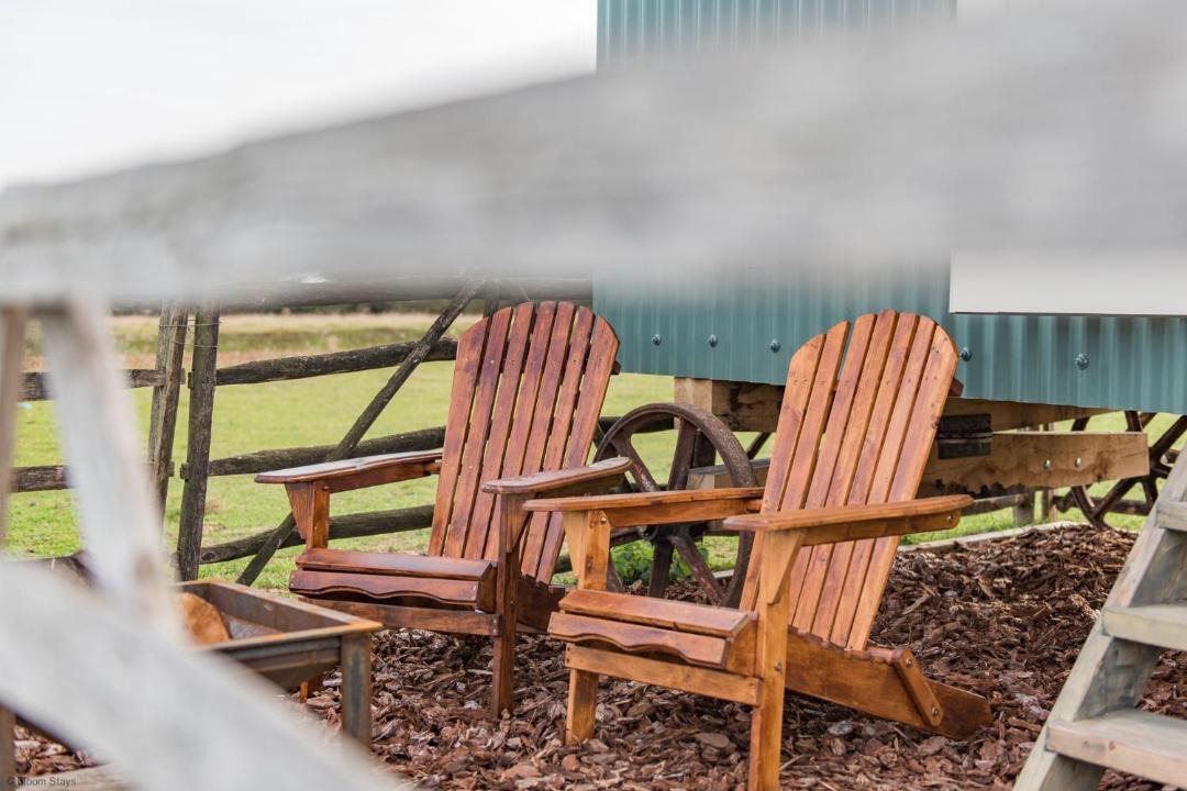 Photo of Others in St Mary's Bay