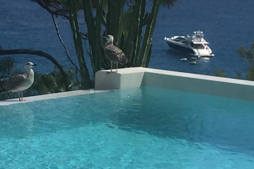 Photo of Others in Ramatuelle