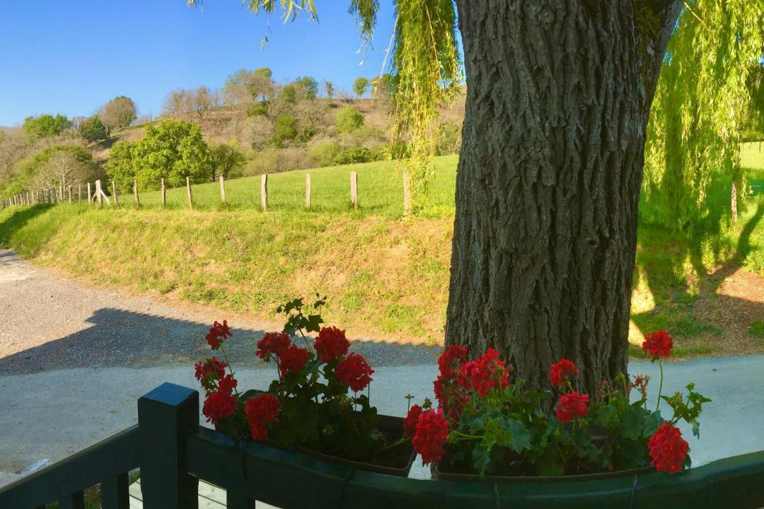 Photo of Others in Lantabat