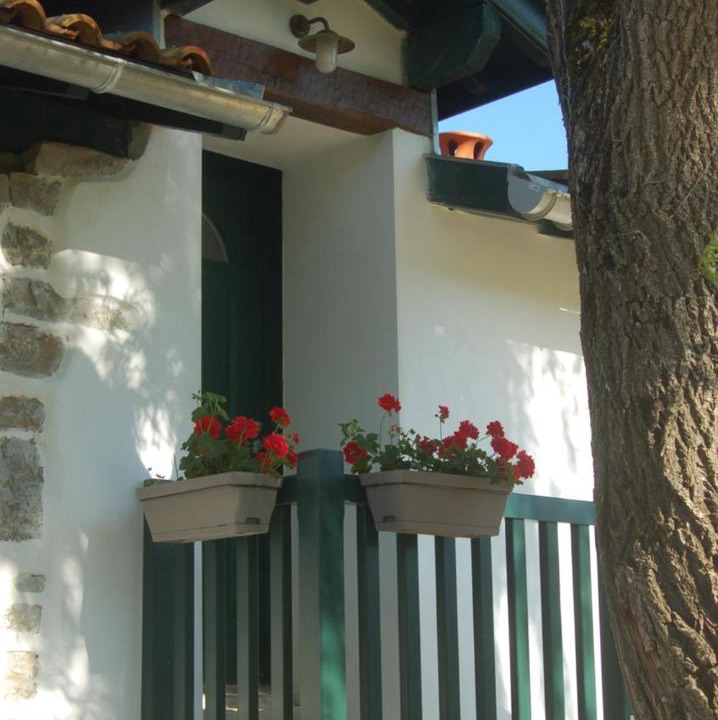 Photo of Others in Lantabat