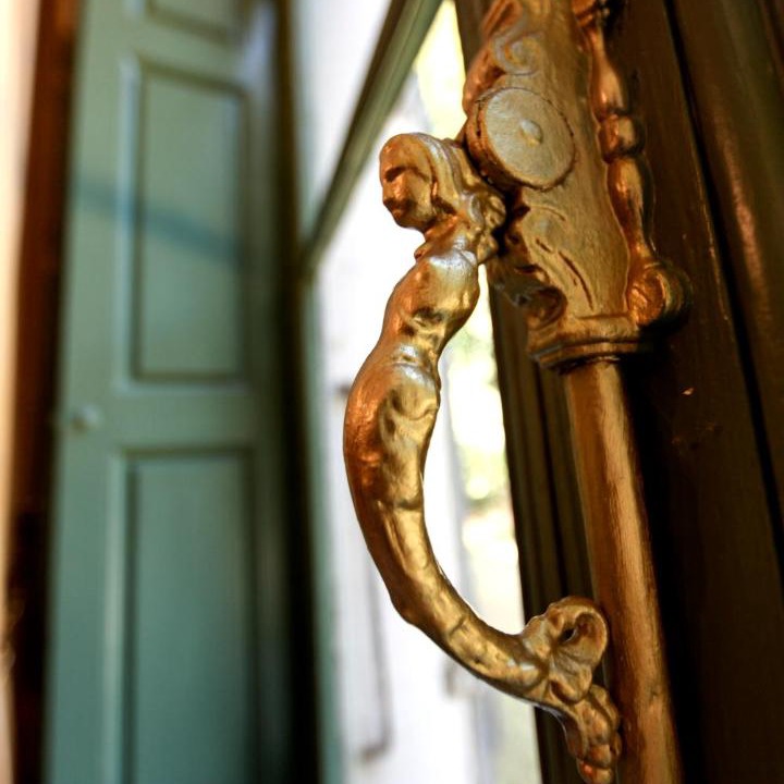 Photo of Others in Chatenoy-le-Royal