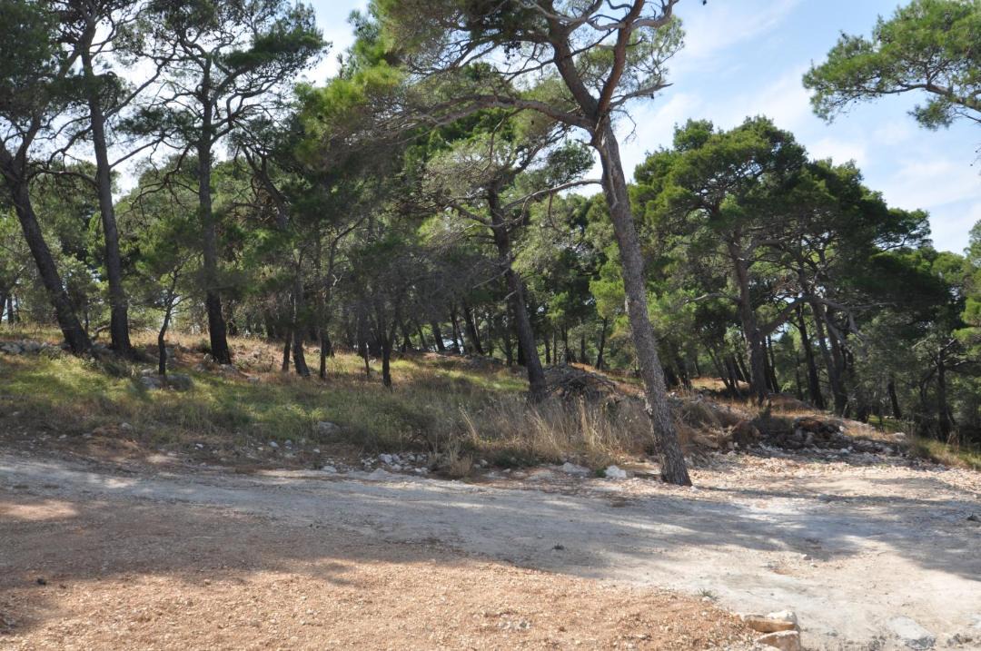 Photo of Others in Cove Murtar