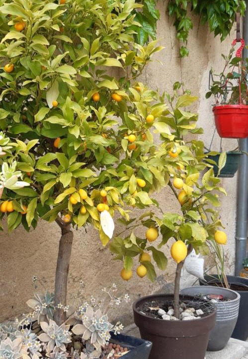 Photo of Others in Quincay