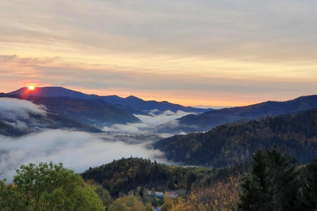 Photo of Others in Fellering