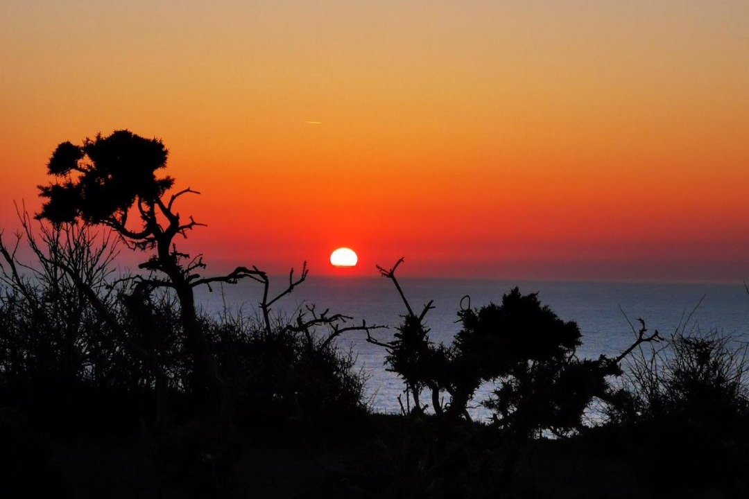 Photo of Outdoor in Brixham