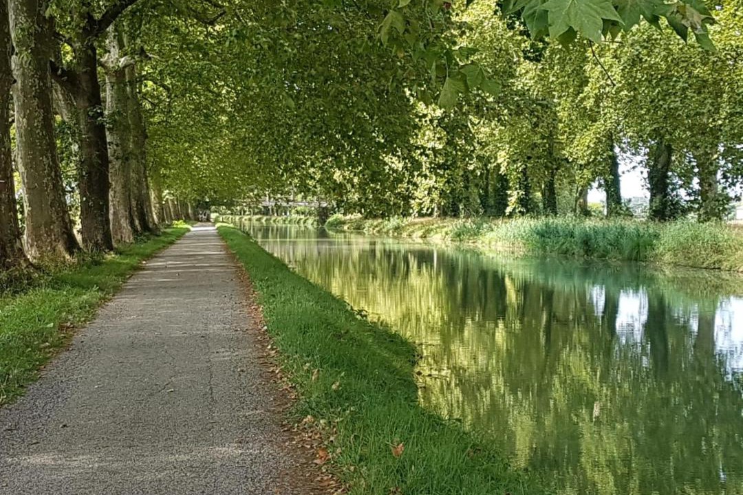 Photo of Others in Mansonville