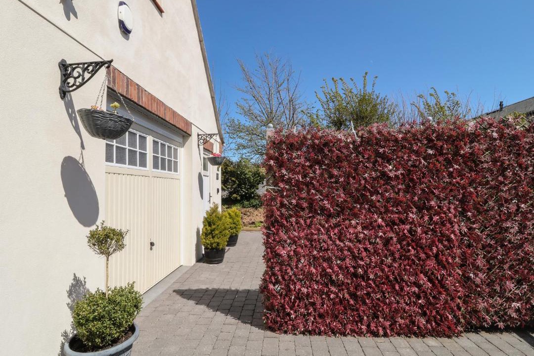 Photo of Buildings in Newton Ferrers