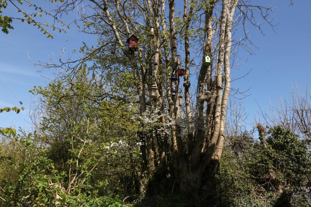 Photo of Others in Newton Ferrers