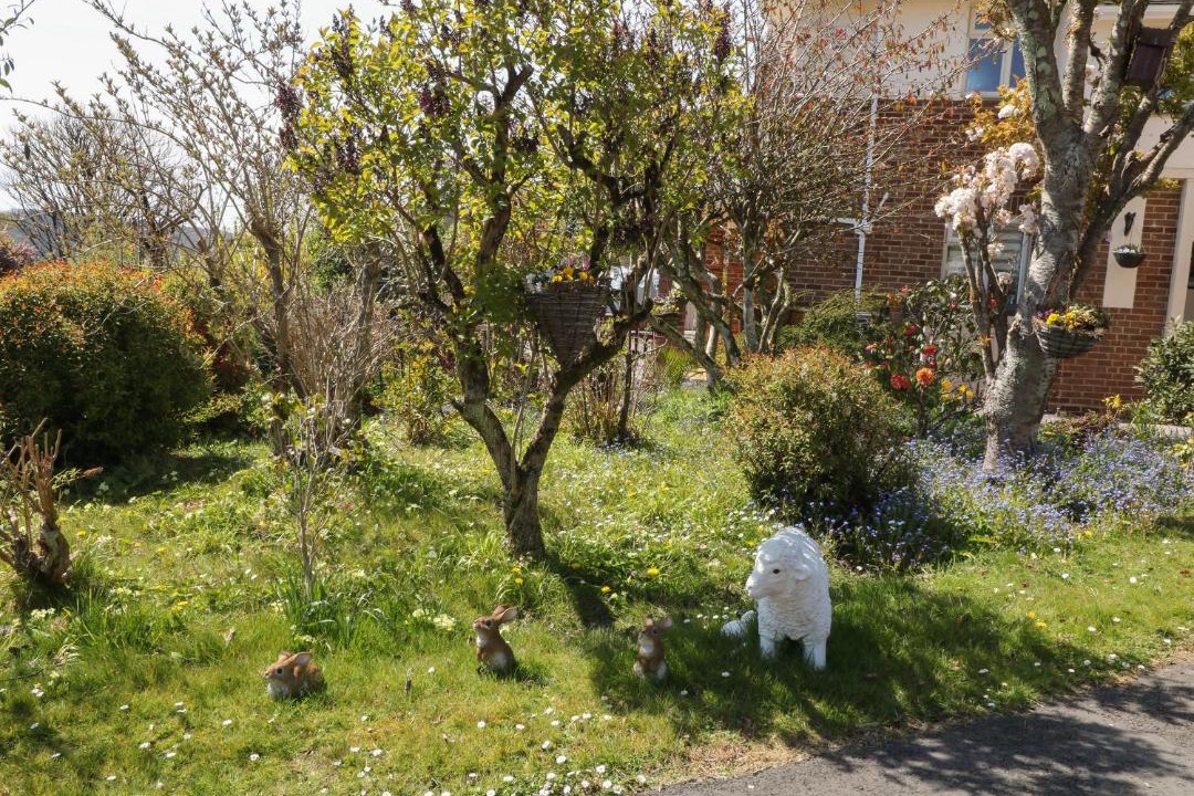 Photo of Others in Newton Ferrers