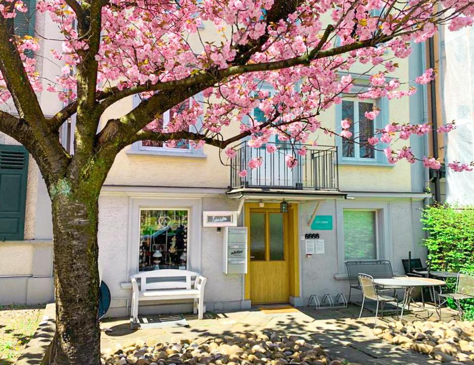 Photo of Others in St. Gallen