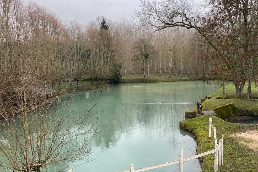 Photo of Others in Monteaux