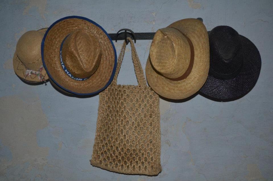 Photo of Others in Pacs del Penedes