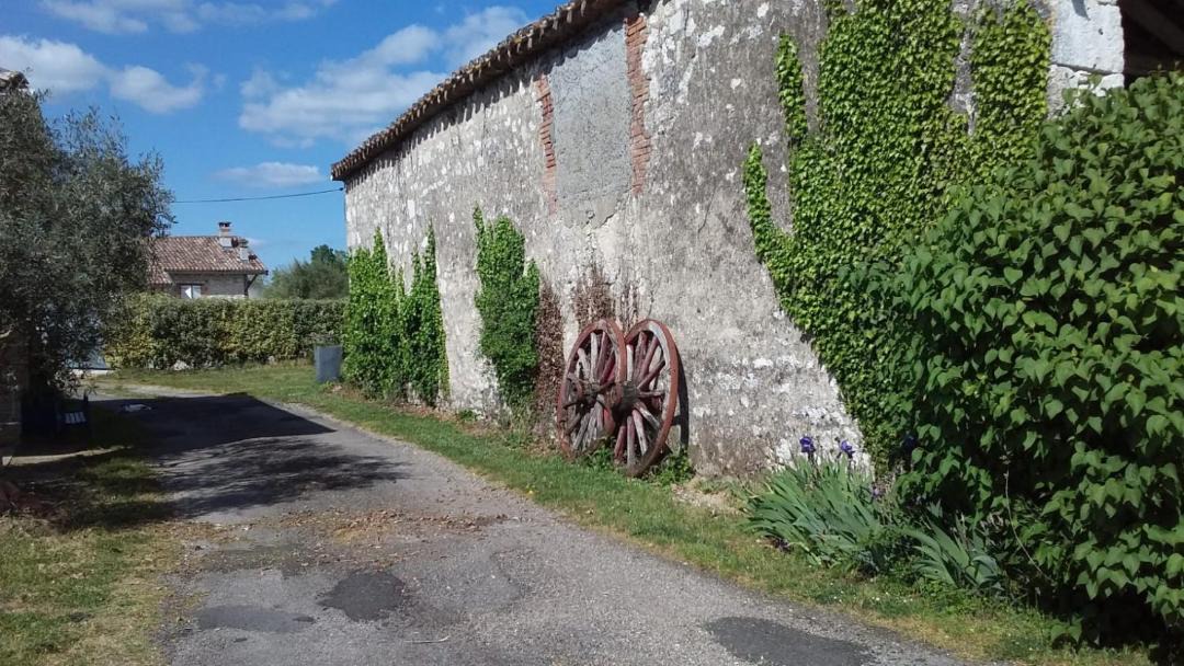 Photo of Others in Cazes-Mondenard