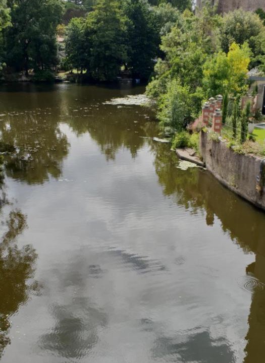 Photo of Others in Clisson