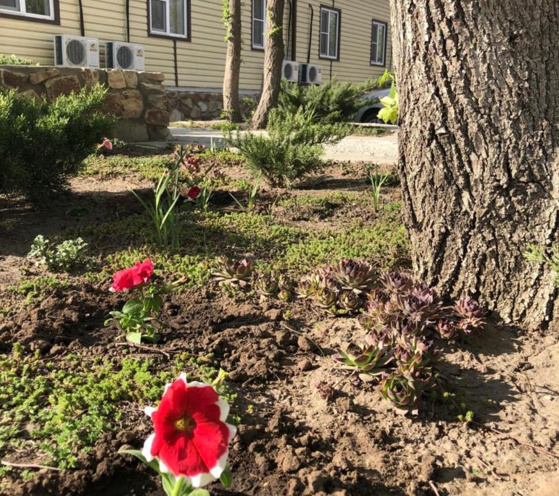 Photo of Buildings in Starostanichnoe