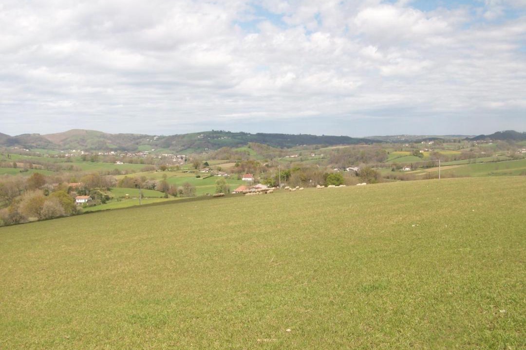 Photo of Others in Sare