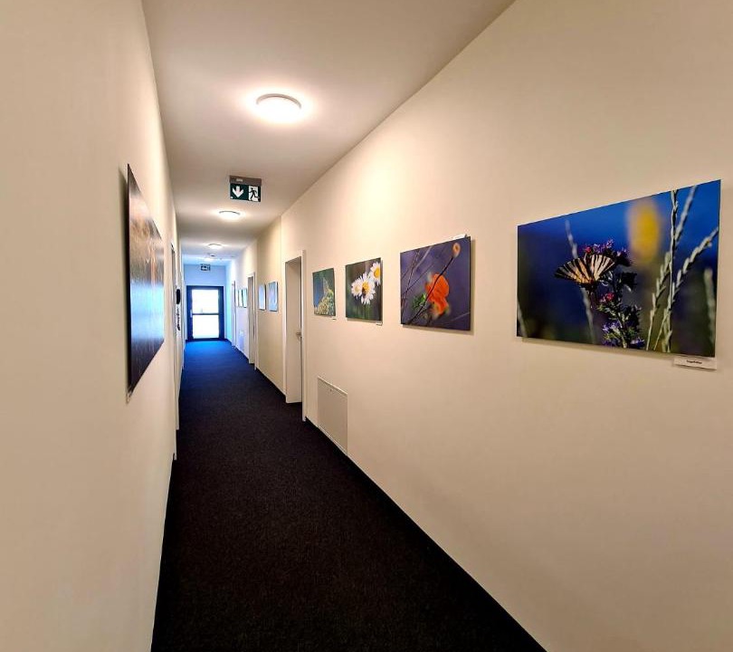 Photo of Bedroom in Erschmatt
