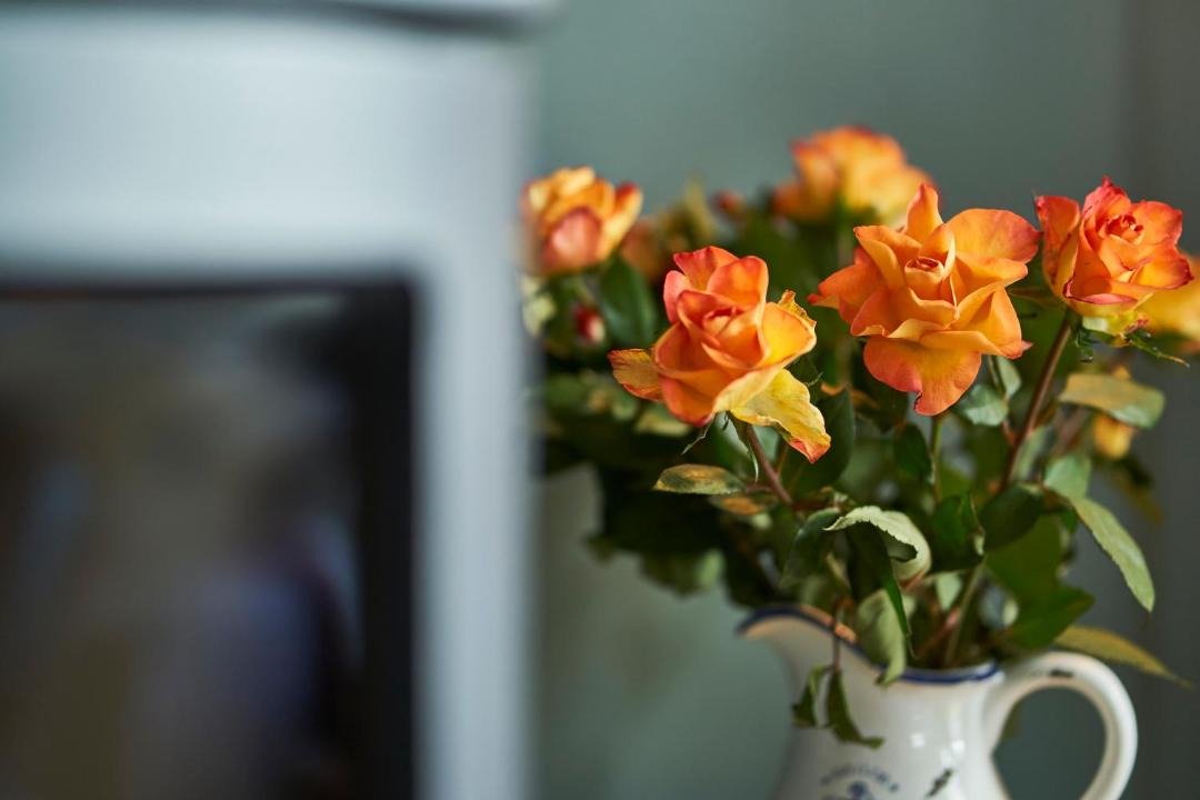 Photo of Others in Cairndow