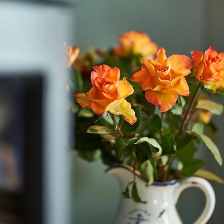 Photo of Others in Cairndow