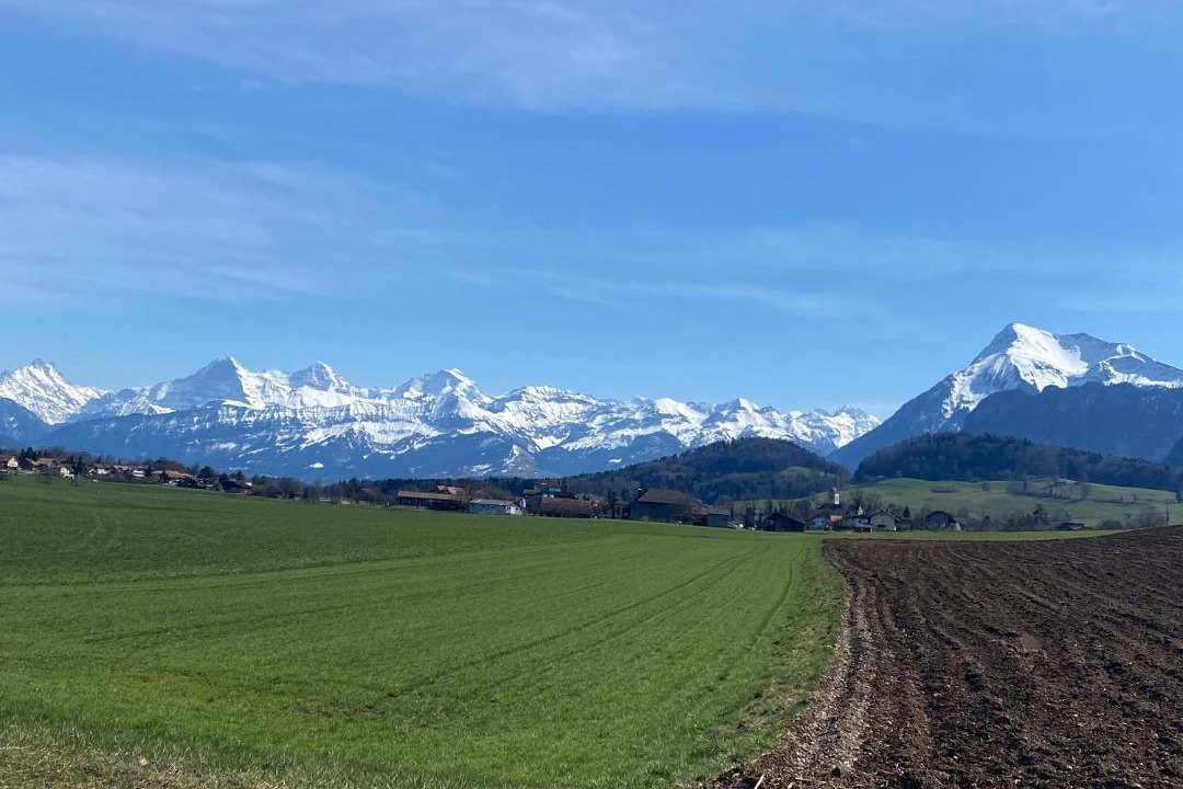 Photo of Others in Amsoldingen