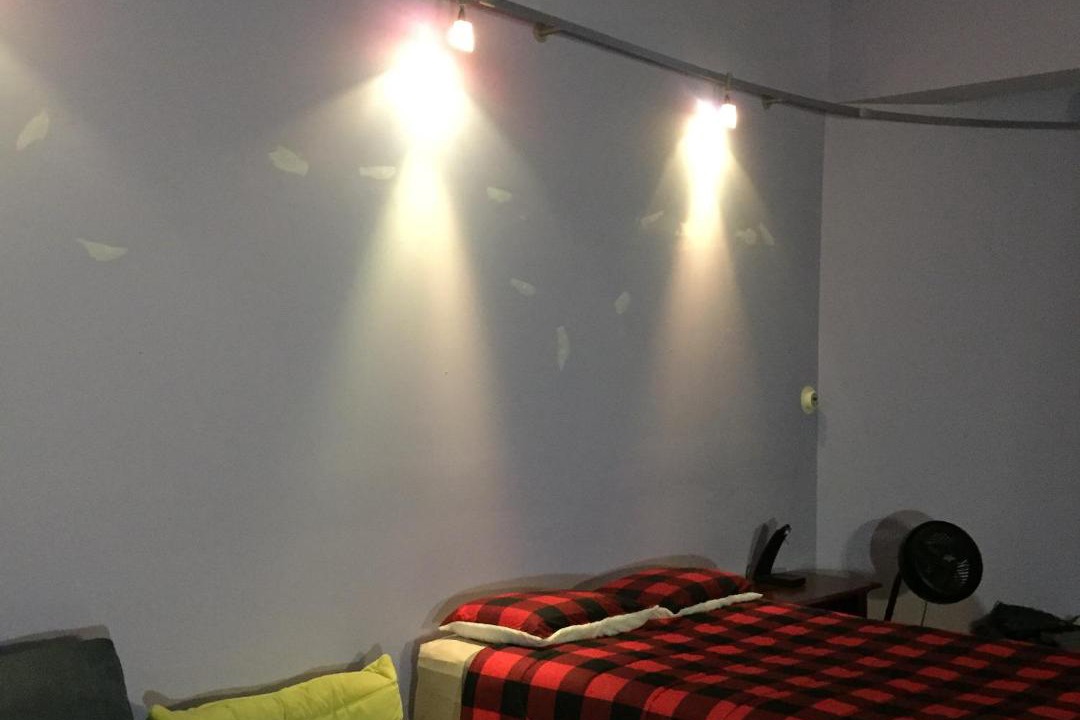 Photo of Others in Pulaski Park