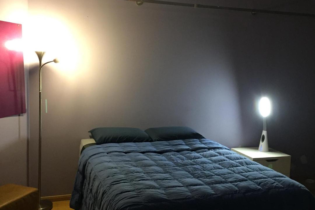 Photo of Others in Pulaski Park